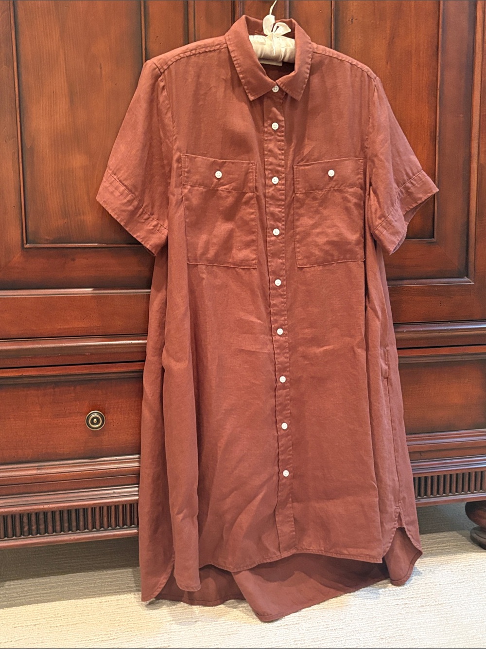 NWOT Everlane The Daytripper Dress in Linen - Cedarwood Size Medium - Picture 2 of 8